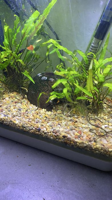 Грунт Для аквариума