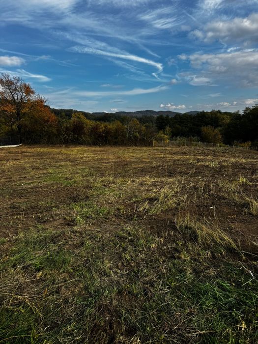 Vand 2 loturi de teren la Vladesti