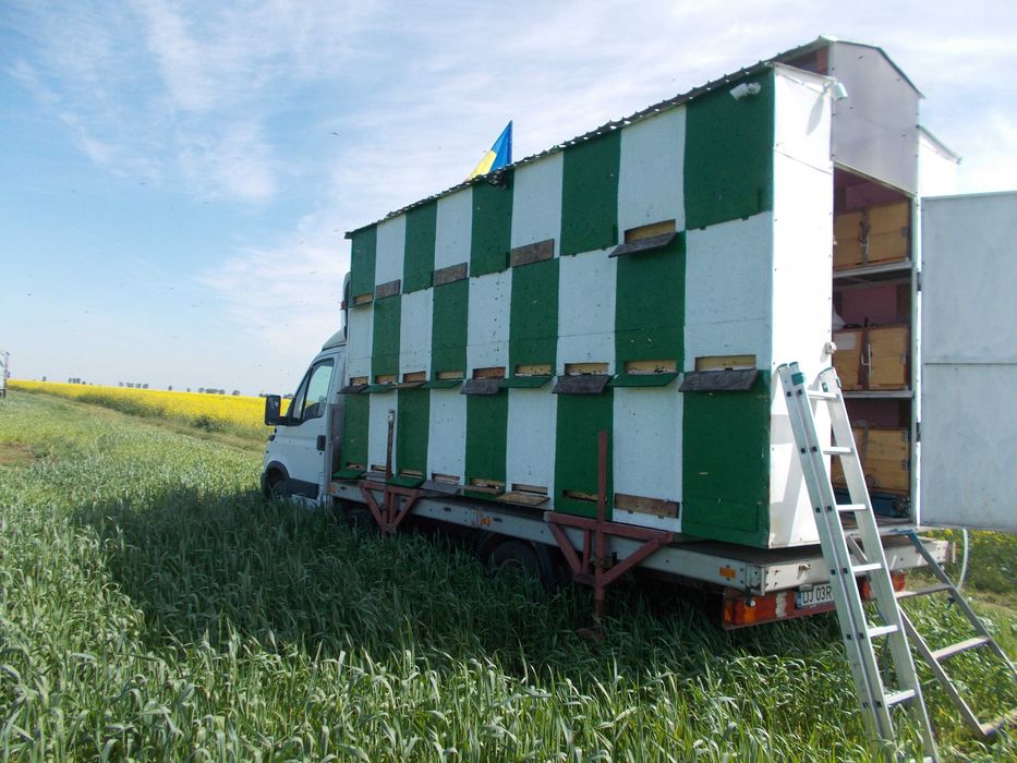 Pavilion apicol cu autoutilitara IVECO 3,5 t, 2005