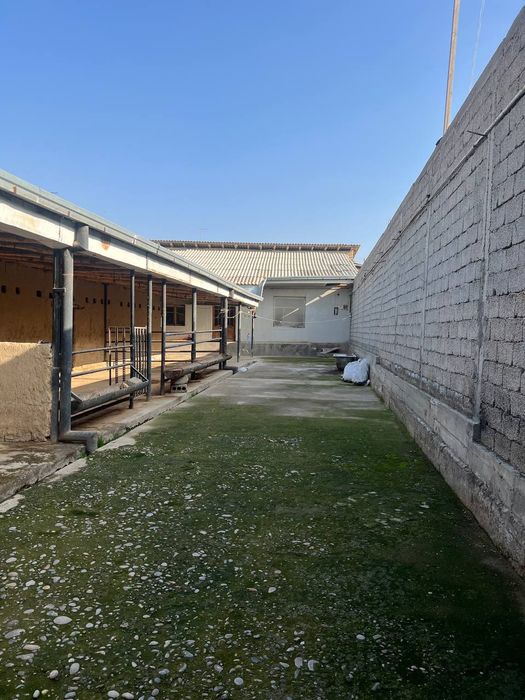 Келес кук терак шинамгина бизнес уч