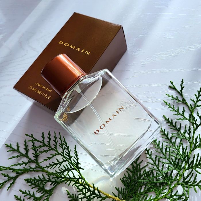 Domain мужской парфюм Mary Kay 73 мл.