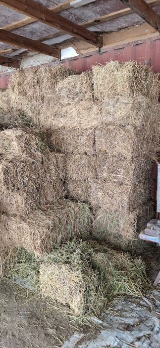 Беда ва хашак прес бор. Огир катта прес.