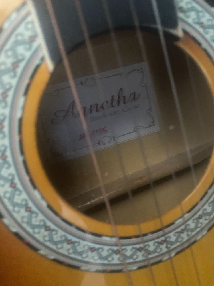 Гитара Agnetha