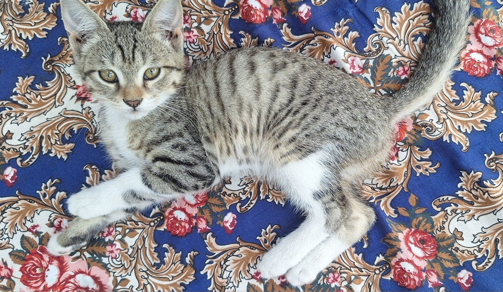 XADYAGA beriladi