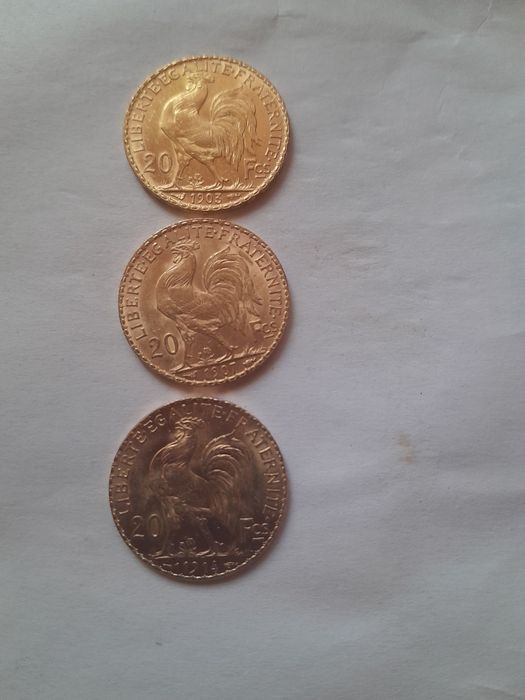 Cocosei  3 bucati ...3600/ bucata