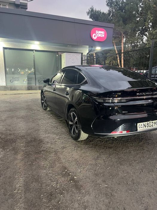 BYD chazor. 2024 4 pozitsa 120 km