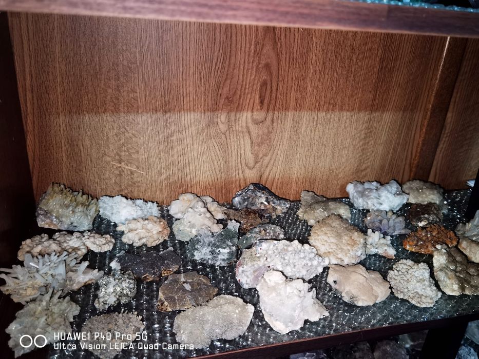 Colectie flori de mina