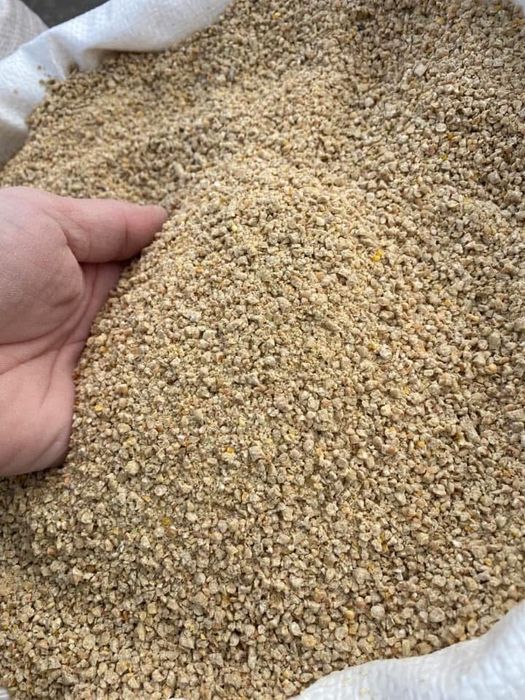 Granule / brizura starter pui crestere gaini ouatoare