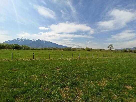 teren 700 m2 Rasnov