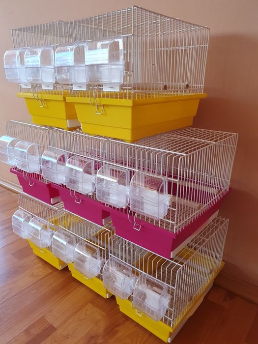 Vand colivii pentru pasari