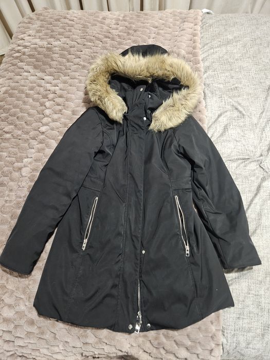 Vând greacă groasă Zara M