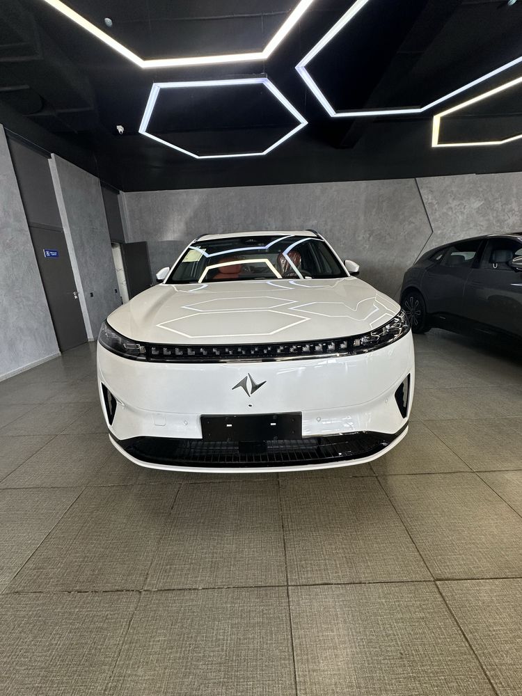 DONGFENG EP 008 sotiladi