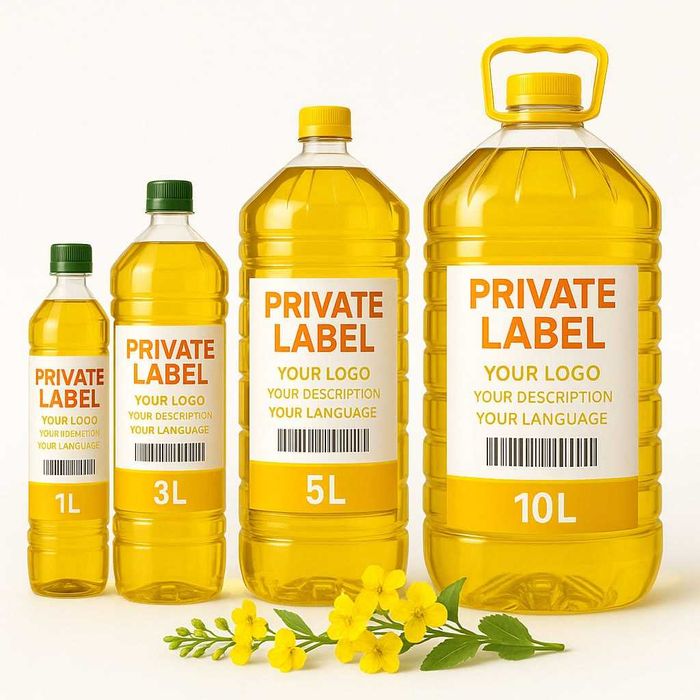 Автоматический Выдувные станки Dianya Baklashka puflash stano DY-A-10L