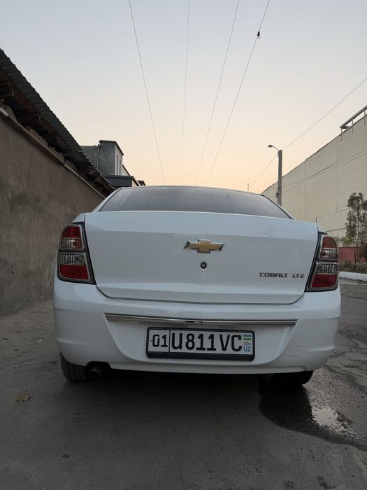 Cobalt Midnight 2025