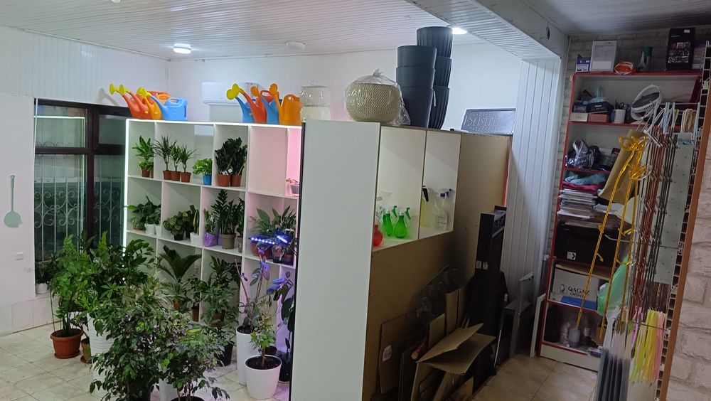 Сдается в аренду помещение 4мкр 20 дом