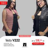 Haine de dama geci, veste, marimi mari plus size xxl de iarna