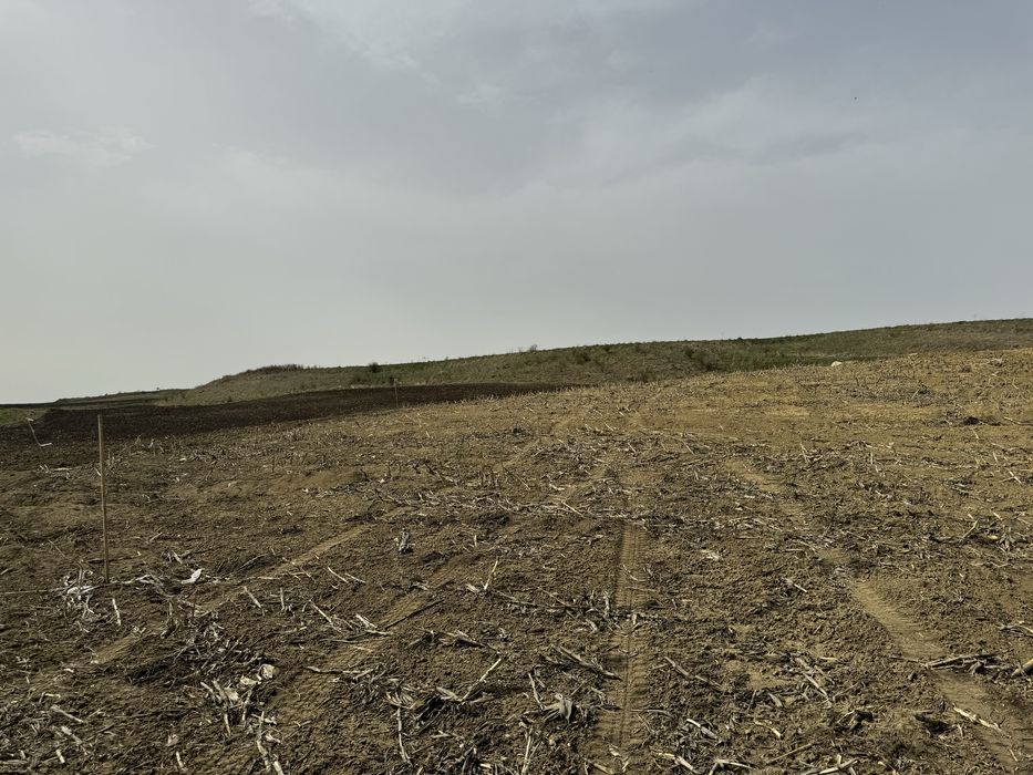 Teren de vanzare aiton Teren intravilan aiton 2900 m2