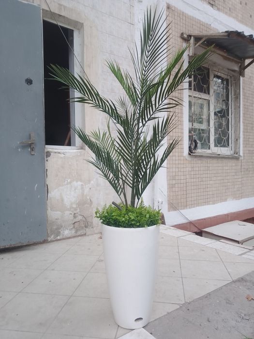 Продам срочно искуственную пальму