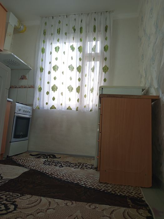 Chilonzor 24kv  vatan mehmonxonani yonida2/5/5