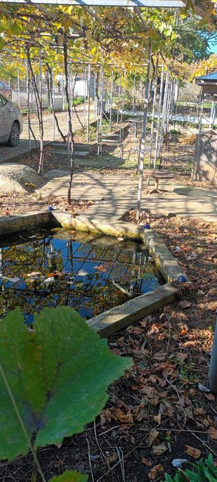 Здрава къща в Дуранкулак