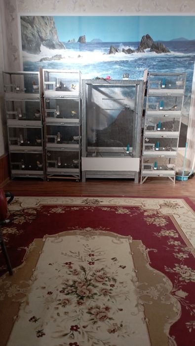 Кушлар учун Валер.