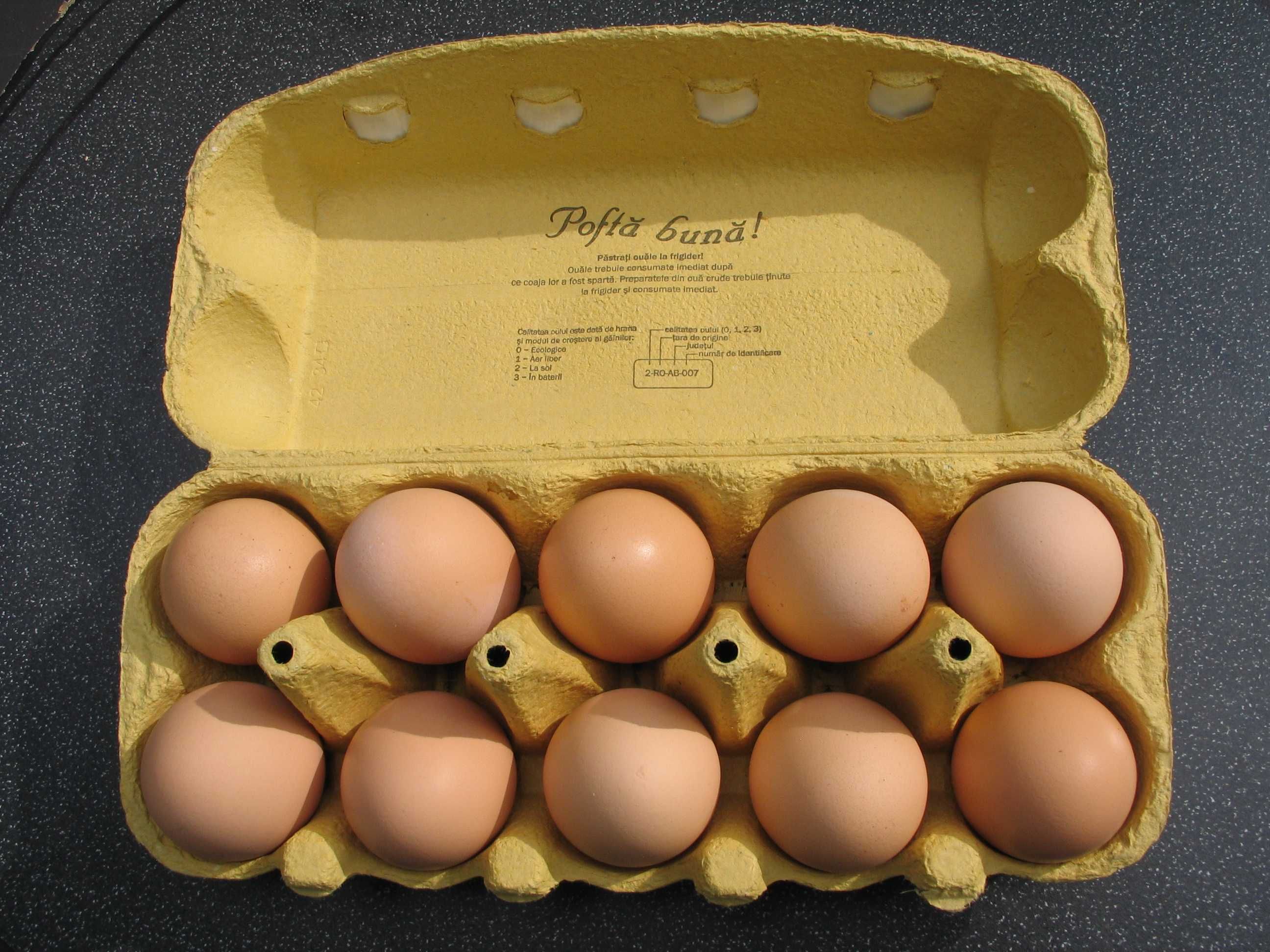 ouă de găină bio