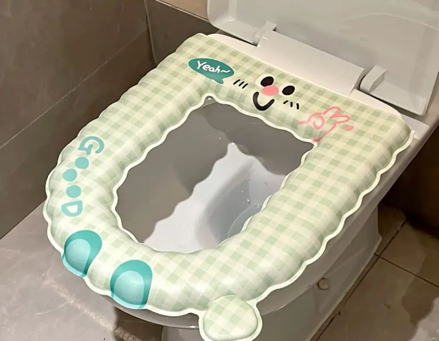 Huse noi pt capacul de toaletă