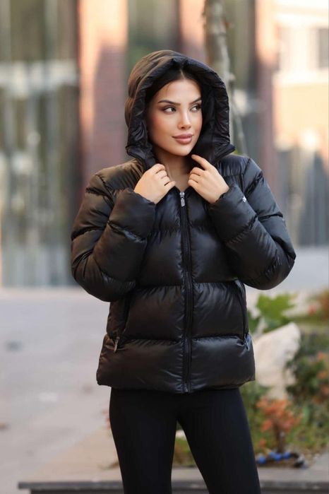 Geaca dama the north face