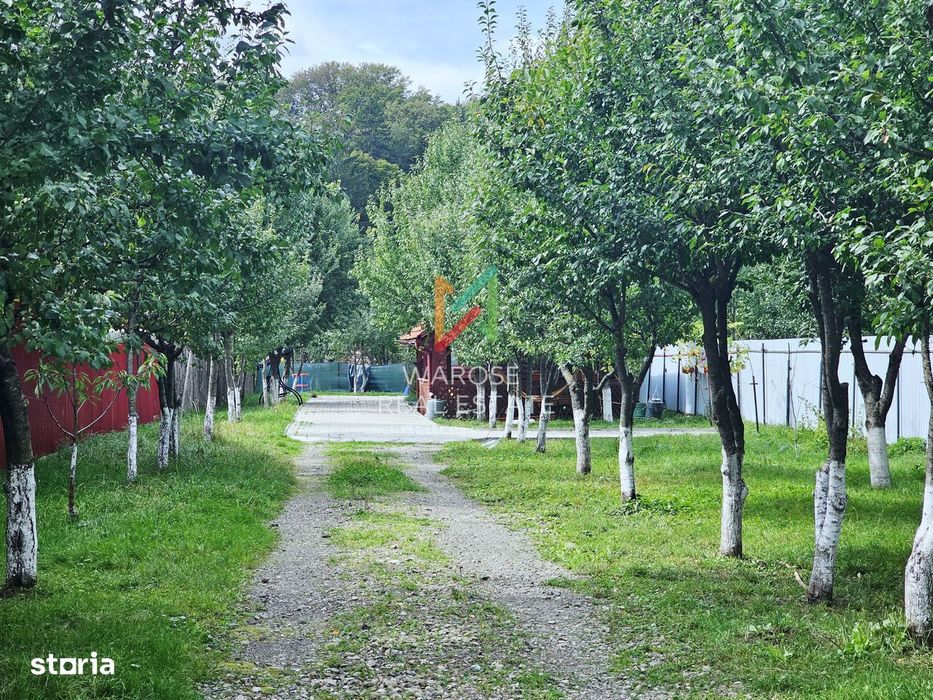 Teren 2000 | Casa | Foisor | Livada | Zizin | Brasov