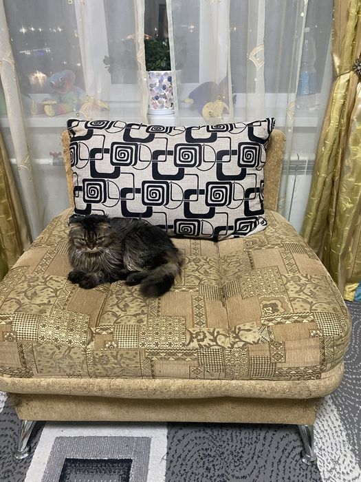 Отдам кресло с подушкой