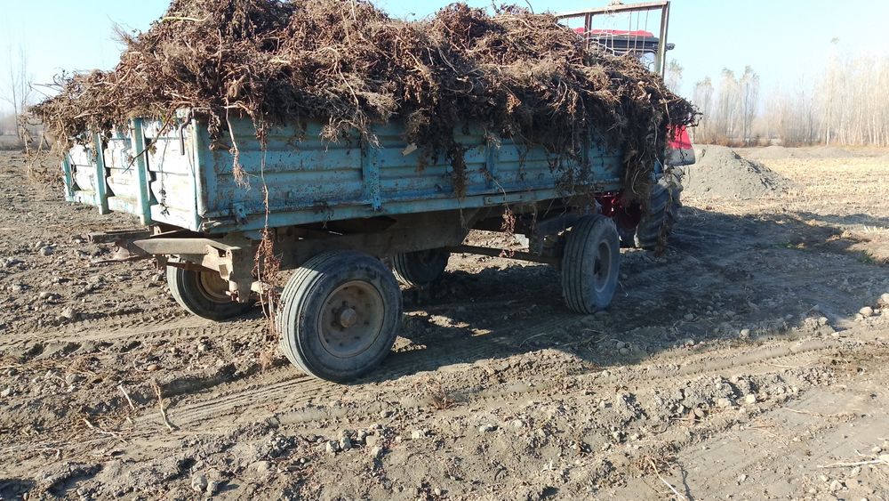 Hammasi narsasi joyida.