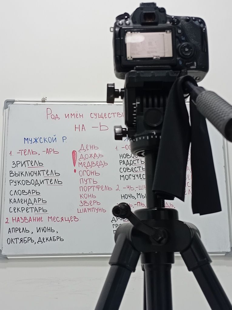 Репетитор по русскому языку