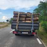 Vand lemne stejar de foc