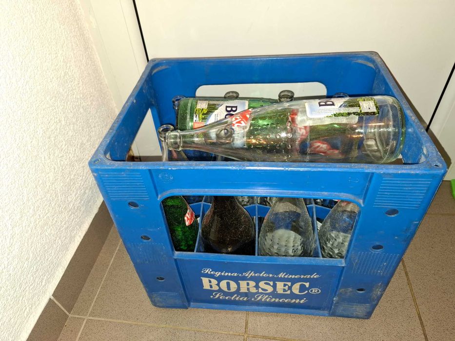 Lada Sticle Borsec 1 L
