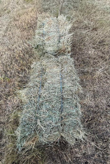 Vand Baloti paie fan calitate excelenta