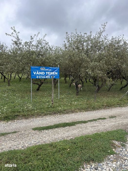 Teren extravilan  Valea Rusului-parcela - 9 ari - 23 000 EURO