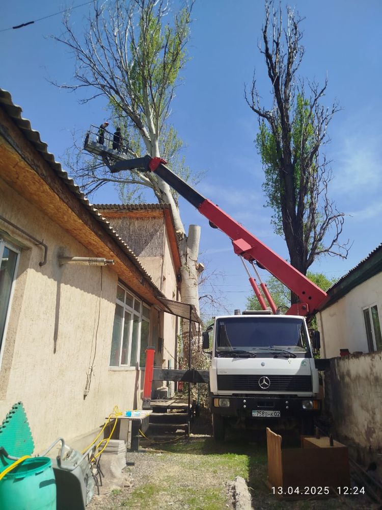 Услуги автовышки