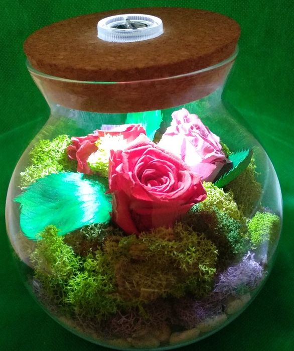 Флорариум ручной работы.