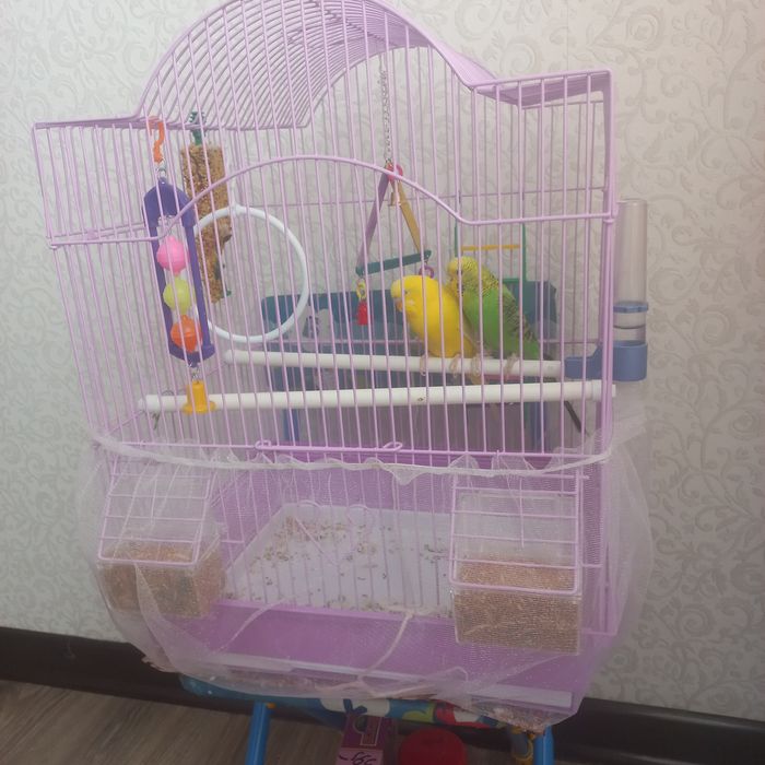 Срочно продам...