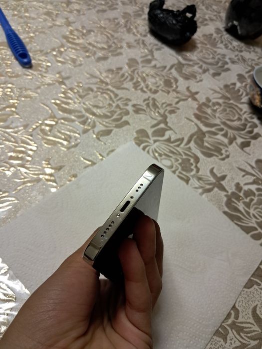 Iphone 13 pro silver