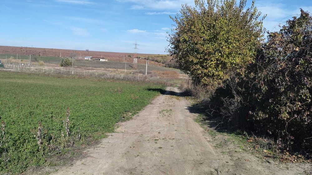 Teren 10000 mp-E 581