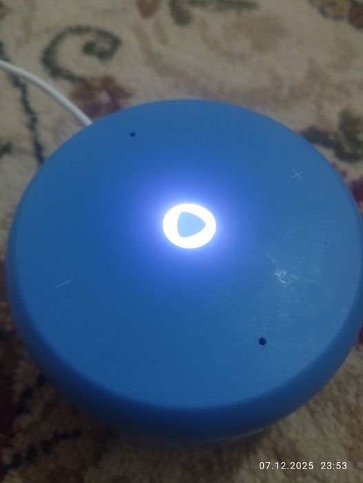 Алиса умни калонкы