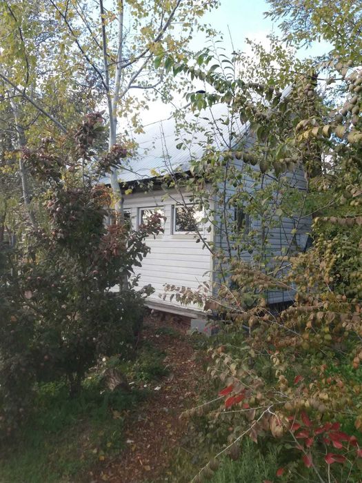 Teren si cabana lemn/Oituz Lumina