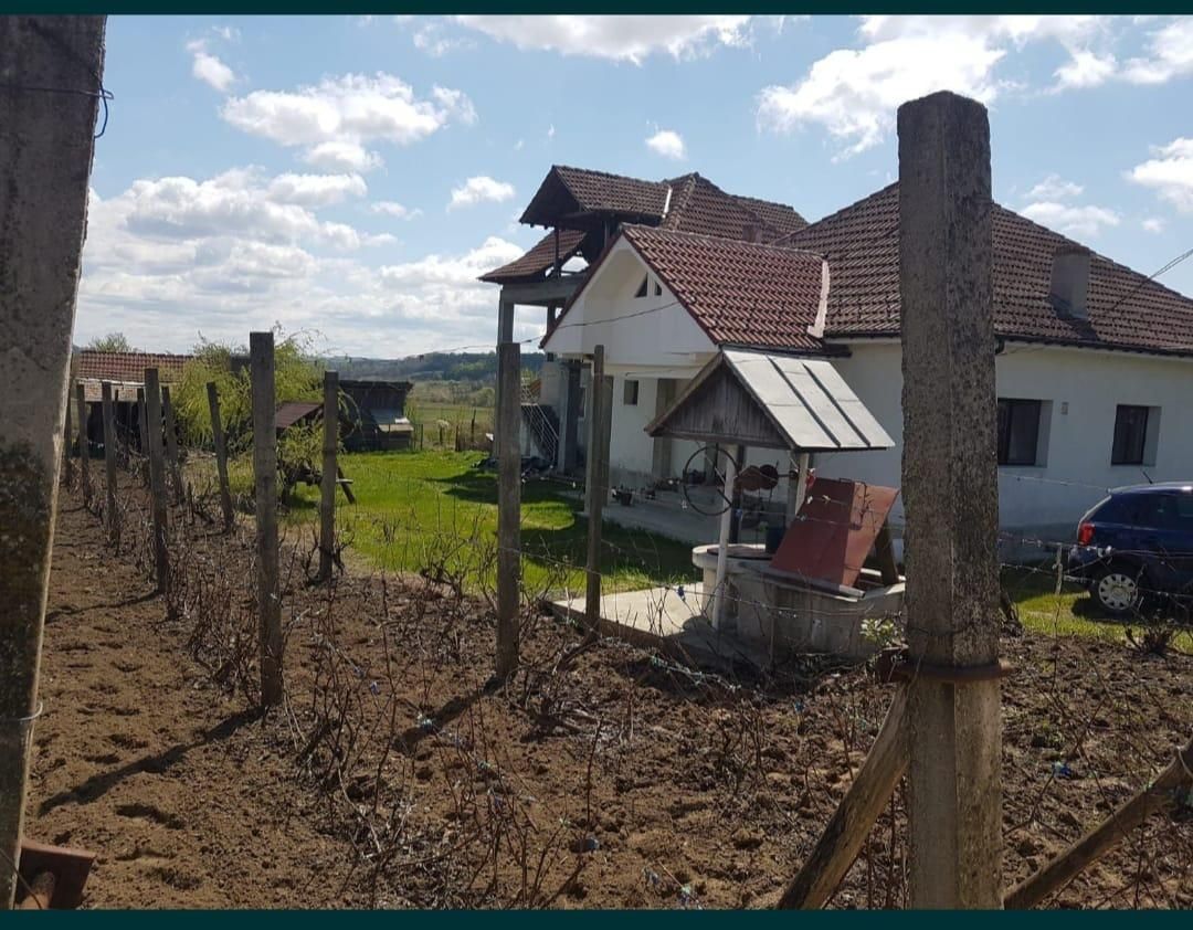Vând două case în aceeași curte. Floresti, județul Mehedinți