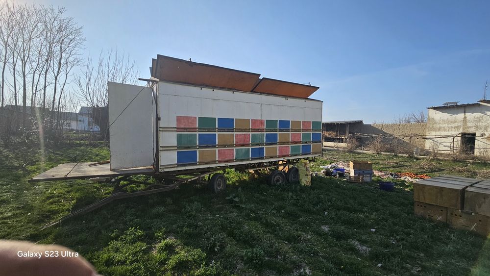 Asalari pavelioni sotiladi