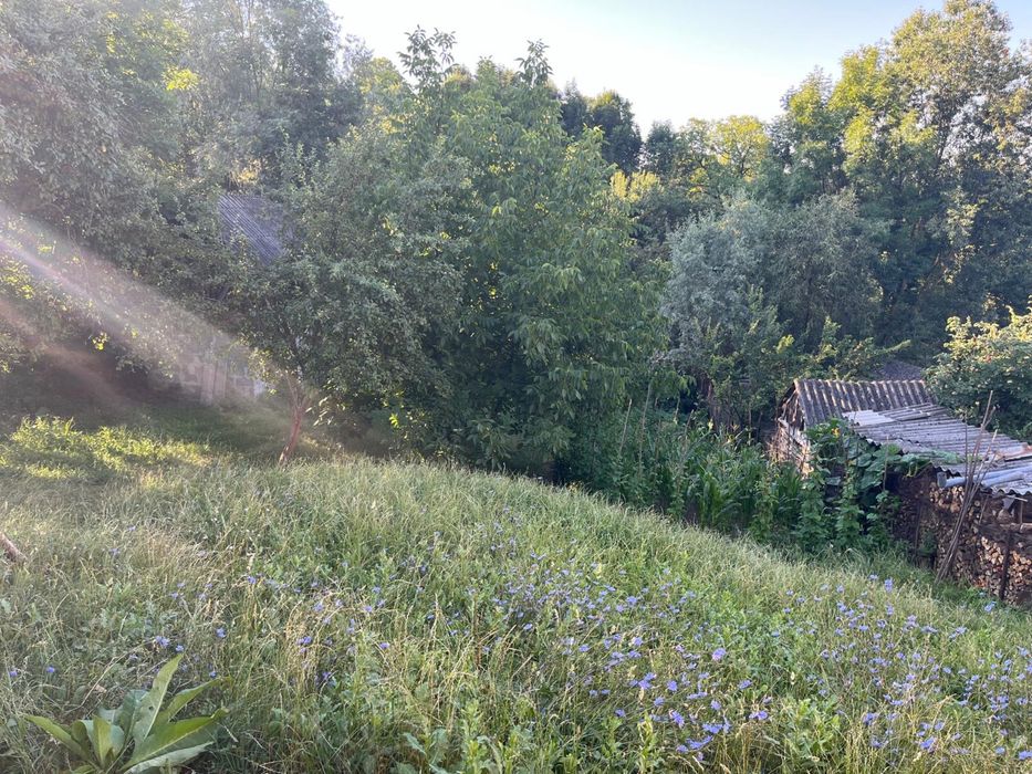 Vand Casa Anexa Teren 3000mp