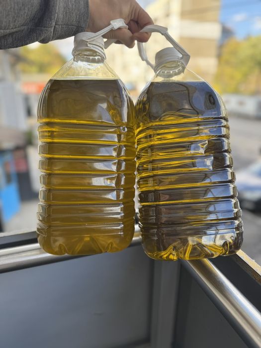 Домашен гръцки зехтин Сорт Коронейки 100%