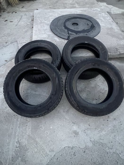 Шины зимние triangle