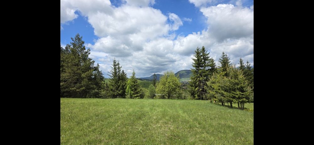 Teren intravilan cu CF Toplița 33 euro/mp