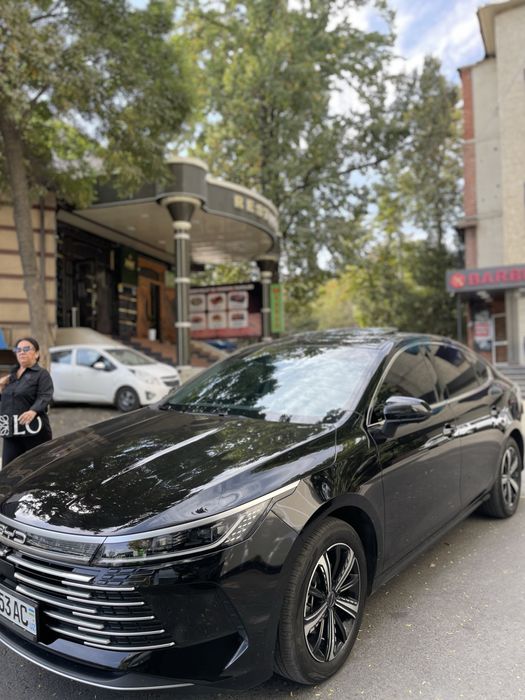 BYD chazor 4 pozidsa Flagship